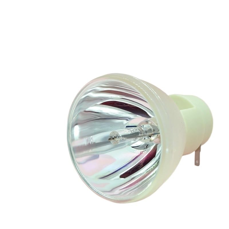 Lampe P-VIP 190/0.8 E20.9n pour projecteur IN112A IN114A IN116A
