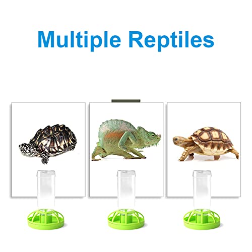 Bilindasly Reptile Feeder, ABS Plastic, Tortoise, Lizard, Turtle, Food and Water Dispenser, Removable Top for Easy Refilling and Cleaning by Bilindasly - Image 5