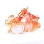 Orange/White