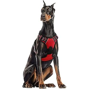 rabbitgoo Rojo Arnés Grande para Perros Arnés Antitirones Perros Arnés Perro Coche con Anillos Fuertes Líneas Reflectantes Tamaño XL Extra Grande