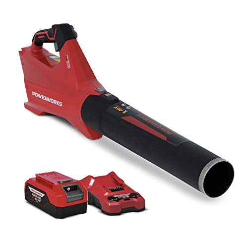 Amazon.co.jp: POWERWORKS ブロワー バッテリー式 コードレス 軽量