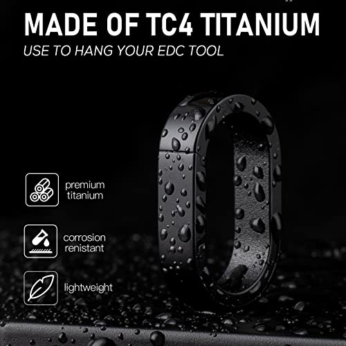 Fegve Titanium Key Chain Rings With 2 Stainless Steel Key Rings, Mini Carabiner Key Holder Small Quick Release Connecting Keychain Accessories For Home Car Keys Bag Pendant #TOP1