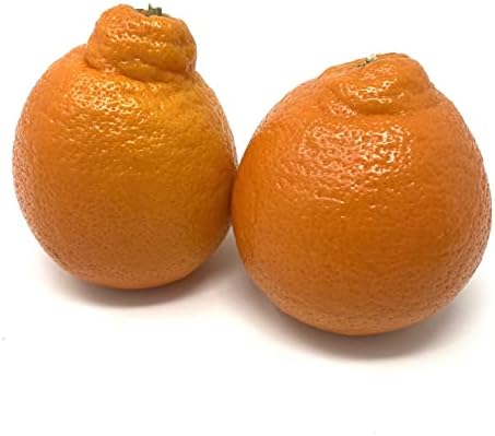 Fresh Minneola Tangelo/Honeybell Oranges - 5 lbs