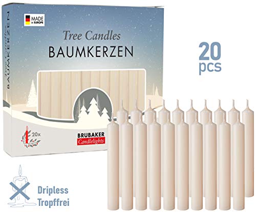 BRUBAKER 20 Pack Tree Candles - Pyramid & Christmas Tree Candles - Champagne Scent