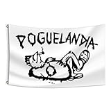 boyiflag