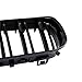 Front Bumper Kidney Grille, Pair Gloss Black Grill Double Line Compatible with 2009-2011 BMW E90 328i 318i 320i 323i 325i 330i 335i