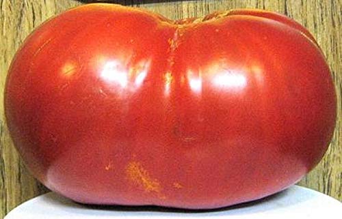 Amazon.com : Tomato Big Zac Seeds- Six Pounders : Patio, Lawn & Garden
