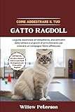 ragdoll vendita  Come addestrare il tuo gatto Ragdoll: La guida essenziale all\'obbedienza, alle abitudini della lettiera e ai giochi di arricchimento per crescere un compagno felino affettuoso