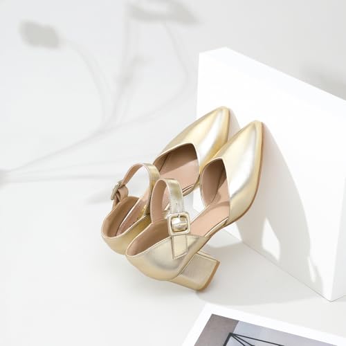 Image of RIBONGZ Comfortable Kitten Heels for Women Pointed Closed Toe Ankle Strap Buckle Heels Slip on Low Heel Church Pumps Wedding Bridal Party Dressy Shoes