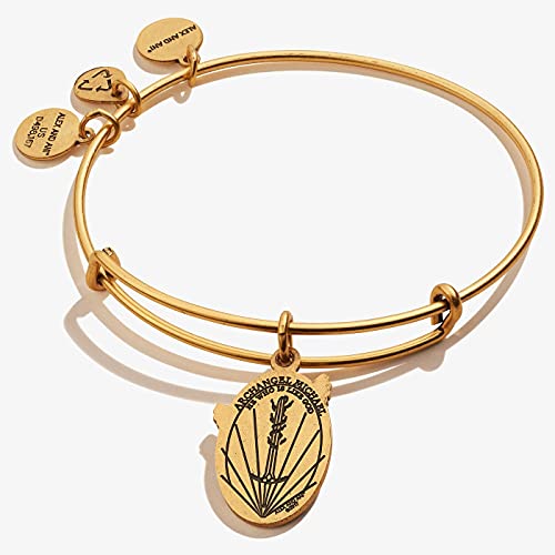 Alex And Ani Divine Guides Expandable Bangle Bracelet For Women, Archangel Michael Engraved Charm, Rafaelian Gold Finish, 2 To 3.5 In #TOP1