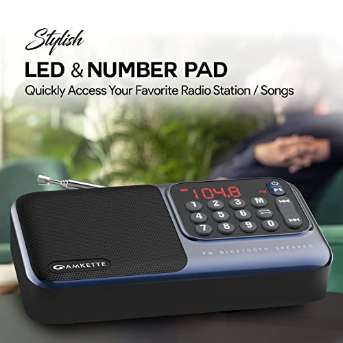 Amkette Pocket Mate Digital FM Radio with Bluetooth Speaker - Type C Charging, Antenna, Multiple Playback 8 Hours Playtime, and Number Pad (Headphone Jack, SD Card, USB Input) (Blue)