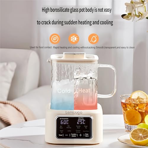 Tetera eléctrica de vidrio 1L con infusor y control digital miniatura 5