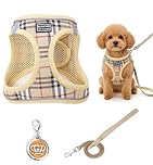 Pettorina Cane Taglia Piccola, taglia XL per torace 50–56 cm e collo 39–43 cm, pettorina per cani taglia piccola regolabile e traspirante con guinzaglio, design step-in riflettente