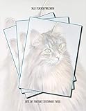  Cat Stationary Paper: Cute Cat Portrait Stationery Letterhead Paper, Set of 50 Sheets for Writing, Flyers, Notes, Crafting, ... Events, School & Office Supplies, 8.5 x 11 Inch
