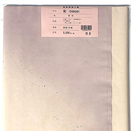 pi ȐF历 2FڂqH506GD ؔ10 ()