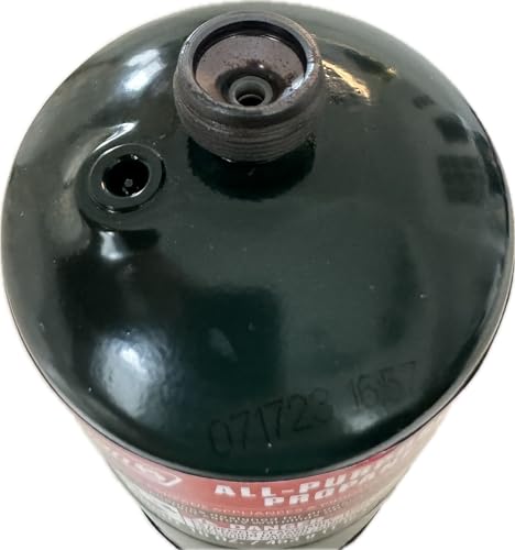 Propane Replacement Fuel Cylinders 16 Ounces Camping (4 Pack). Factory Pre-Filled, Ready to Use