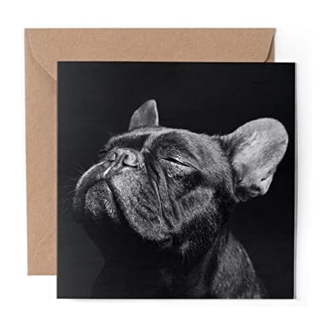 Black French Bulldog Greeting Card - Blank Inside Cover