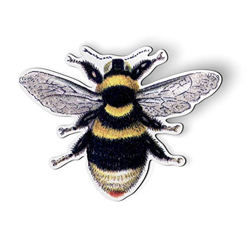 GT Graphics Express Vintage Style Bumble Bee Fridge Magnet - 5.5'' for Car Locker Refrigerator