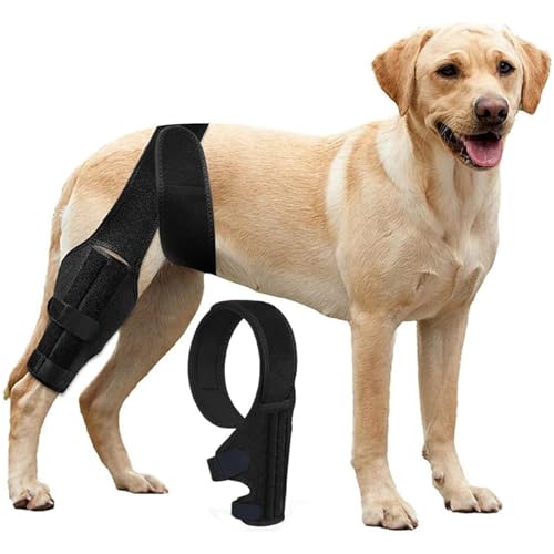 RUYICZB Dog Knee Brace for ACL with Side Stabilizers, Splint Adjustable Support Brace for Knee Cap Dislocation, Arthritis Keeps Joint, Hip Dysplasia, Cruciate Ligament Injuries,XS