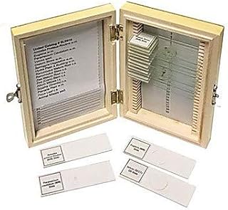 United Scientific Supplies SLD016, Biology Prepared Slide Set, 16 Pieces