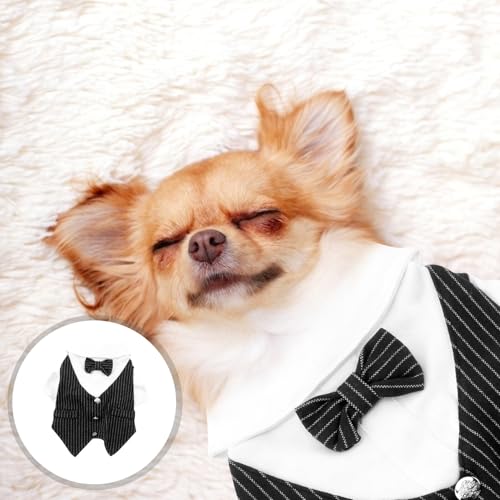 Disfraz para Perros Traje Caballero Negro Rayas Talla L miniatura 4