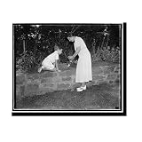 Gardening is Hobby of New Senate Majority Leader's wife. Washington D.C.