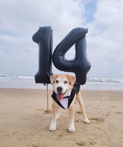 Image of Number Balloons 24 Balloon Black for 24 42 Birthday Party Decoration, 40 in | Saturated Color, Large 40 inch, With Inflation Straw & Hanging Holes, Great for Men's Birthday, Gothic Theme Party, Halloween