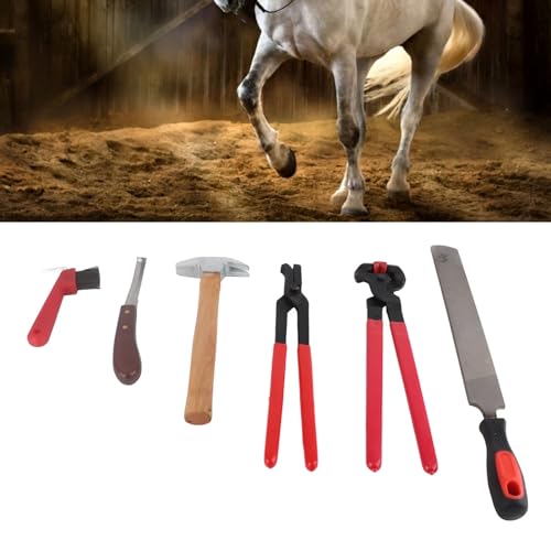 Mbeysaq Conjunto profissional de 6 peças de acabamento de casco de cavalo com pinças, alicates, faca