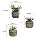 MyGift 6 Inch Mini Artificial Green Succulent Plant in Rustic Brown Wood Barrel Planter Pots, Set of 3