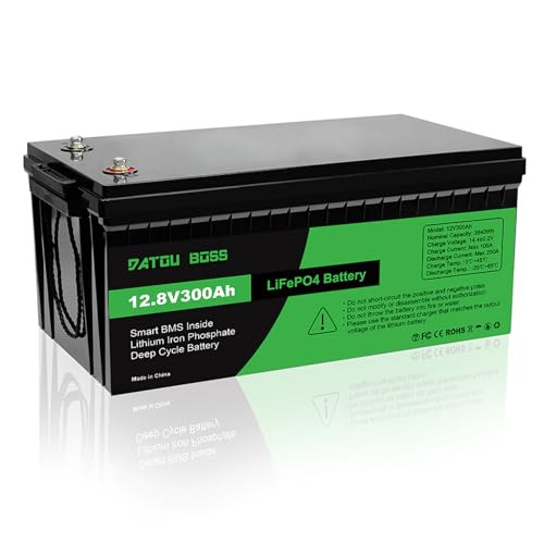 Design a ciclo profondo: la batteria al litio LiFePO4 da 12 V 300 Ah è più compatta e pesa solo un terzo di una batteria al piombo acido equivalente, il che facilita il trasporto e l'installazione. Offre 5000-15000 cicli di ricarica con una durata fino a 10 anni, che è tre volte più lunga rispetto alle tradizionali batterie al litio. La batteria è progettata per ripetute scariche profonde e cicli di carica per garantire prestazioni stabili a lungo termine e riserve energetiche affidabili.