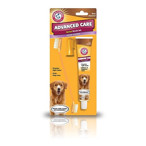 Arm & Hammer Tartar Control Dog Dental Kit, Beef Flavor,