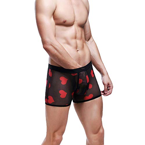 Men's Sexy Mesh Boxer Briefs Hot Lip Transparent Lingerie Red Heart Print Mesh Transparent Bulge Pouch Underpants(43Black2pcs,M)