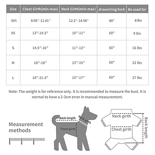 Hpethf Dog Harness For Small Dogs Leashes Set,Soft No Pull Adjustable Breathable Mesh Leash And Harness Vest Belt For Puppy,Small,Medium Dogs And Cats.（Yg-Xs） #TOP1