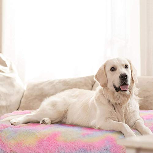 Couverture Chien, Plaid pour Chat Super Douce et Chaude, Plaid Chien, Couverture Lavable réversible pour Chiots et Chaton (Arc-en-Ciel) Cover