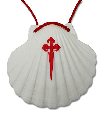 Buen Camino Concha de peregrino para el Camino de Santiago, 11 x 10 cm, original de Galicia, producto natural