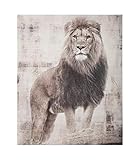 Atmosphera - Tableau Toile murale imprimée Lion 38 x 48 cm