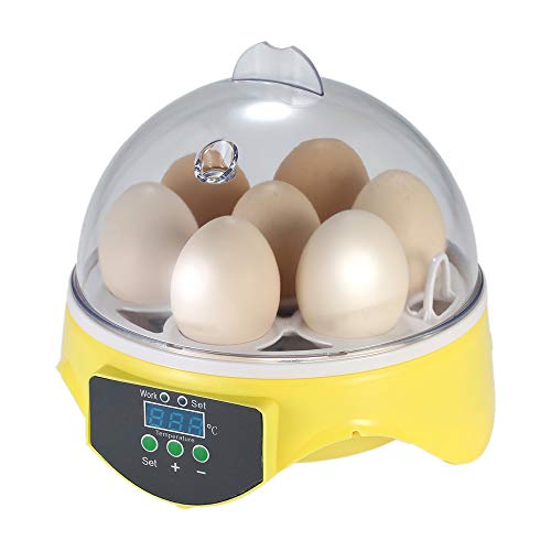 Homesen 7 Ovos Mini Incubadora Digital Incubadora de Ovos Transparente Máquina de Incubação Controle