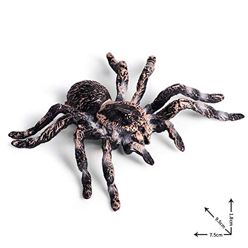Artificial Spider Halloween Decoration Simulated Spider Model Realistic Plastic Spider Educational Learning Toys Spider Lover Gifts (2 Pc) #TOP7