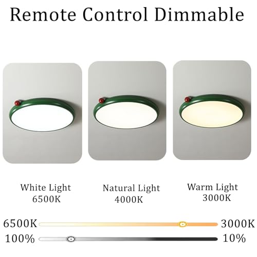 Lampe plafond LED dimmable de 3000K à 6500K avec télécommande métal vert - 2