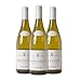 Produktbild Sancerre Domaine Thierry Merlin Cherrier 2019 hochwertiger Weißwein Frankreich trocken (3x 0.75 l)