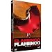 Flamenco, Flamenco