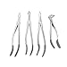 CYNAMED Dental Root Tip Extracting Forceps Set of 4 Diamond Dusted German Stainless Brand