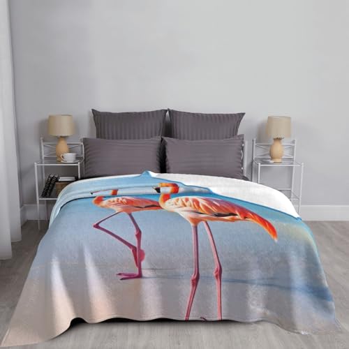 Plaid microfibre flamant rose ultra doux | Couverture de lit en peluche légère pour cocooning