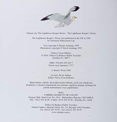 Deniz Kiyisinda Piknik - Deniz Hikayeleri [Turkish] 6052955430 Book Cover