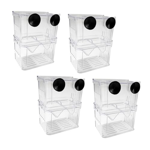 MINAOLULUS 4 pu{bNX Ȏ\ŃObs[ x^ JNN} ̒t _uC[݌v ώ@₷ɐBpz