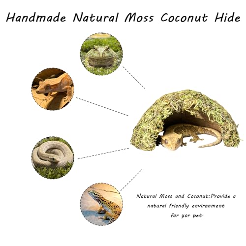 Reptile Hide & Snake Hideout - Leopard Gecko Tank Accessories & Natural Terrarium Decor - Coconut Moss Habitat Hideouts for Ball Python, Bearded Dragon - Reptile Tank Accessories & Supplies - Thumbnail 3