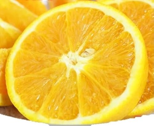 [先行予約]国産バレンシアオレンジ 7kg[ご家庭用訳あり][UT77]