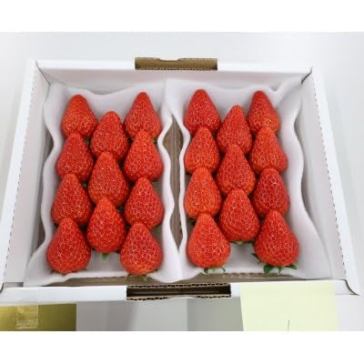 紅ほっぺ・きらぴ香食べ比べ(各2パック計4パック 約1040g) いちごセット