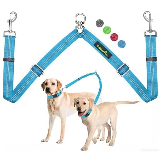 Brilliant Paw Double Dog Leash, Two Dog Leash Splitter, Adjustable Length and Tangle Free, Heavy Duty Walking Training Dual Dog Leash Extension for Medium and Large Dog, Blue