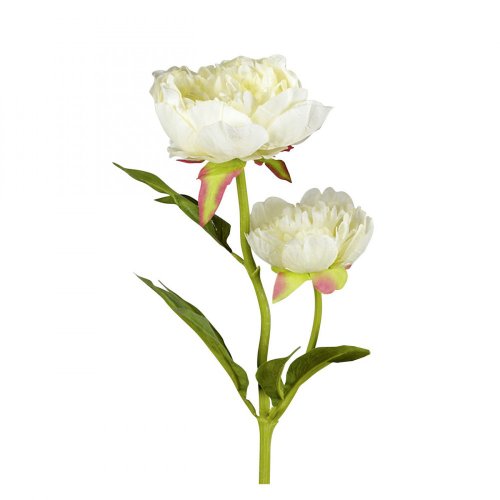 DPI Pfingstrose-Päonie - Kunstblume - Creme